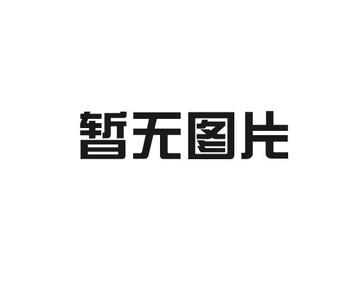 臨河加藥計量泵